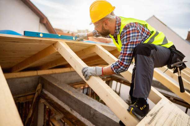 Best Rubber Roofing (EPDM, TPO)  in Maple Park, IL